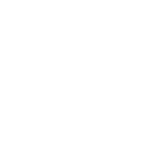 Eläinkokeeton